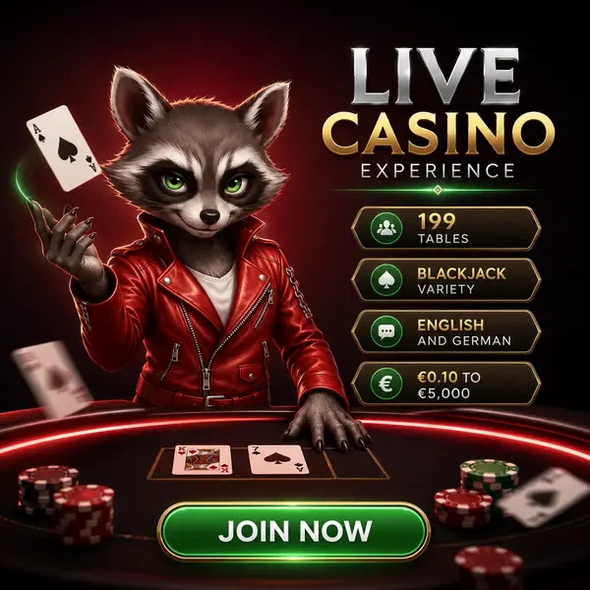 Antropomorfe wasbeer die kaarten omdraait aan Rocky Spin Live Casino blackjack-tafel