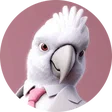 jarne99